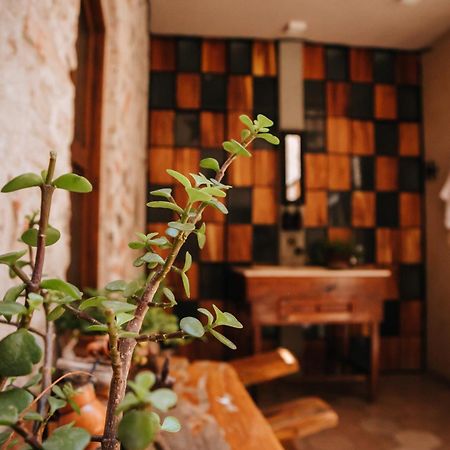 Hotel Casa 88 산미겔데아옌데 외부 사진