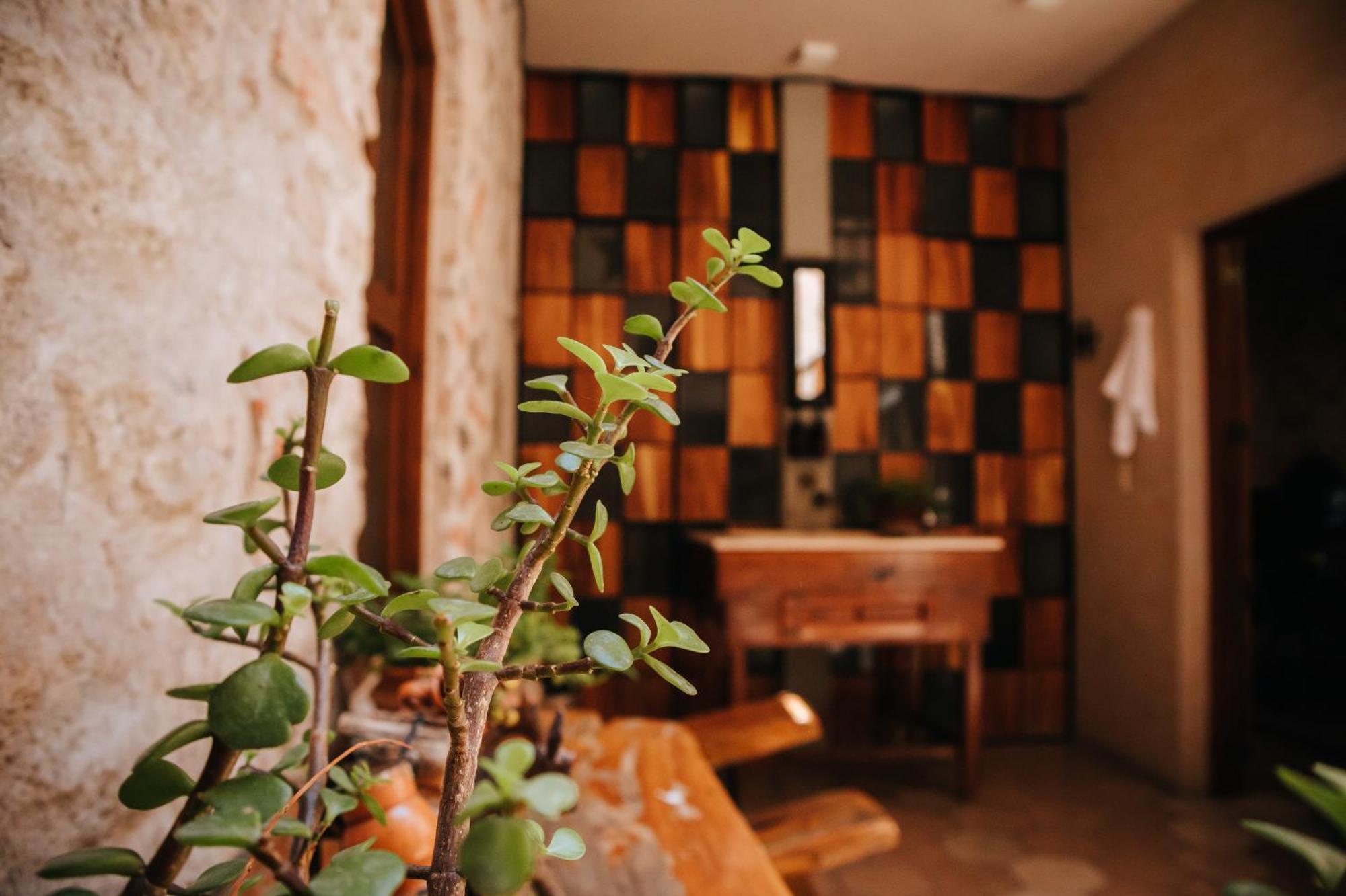 Hotel Casa 88 산미겔데아옌데 외부 사진